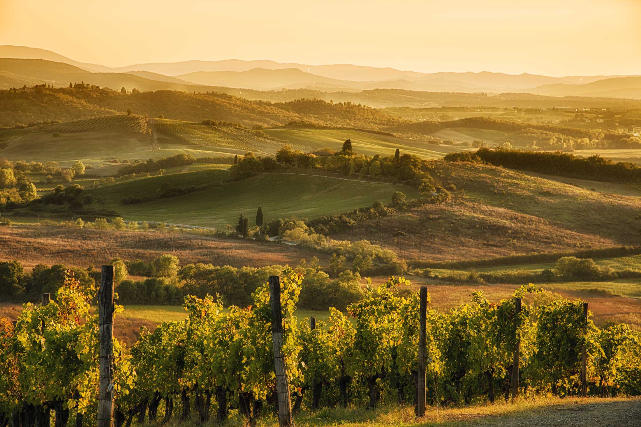 Vakay in Tuscany sunset vineyard and countryside estate tour — photo 2